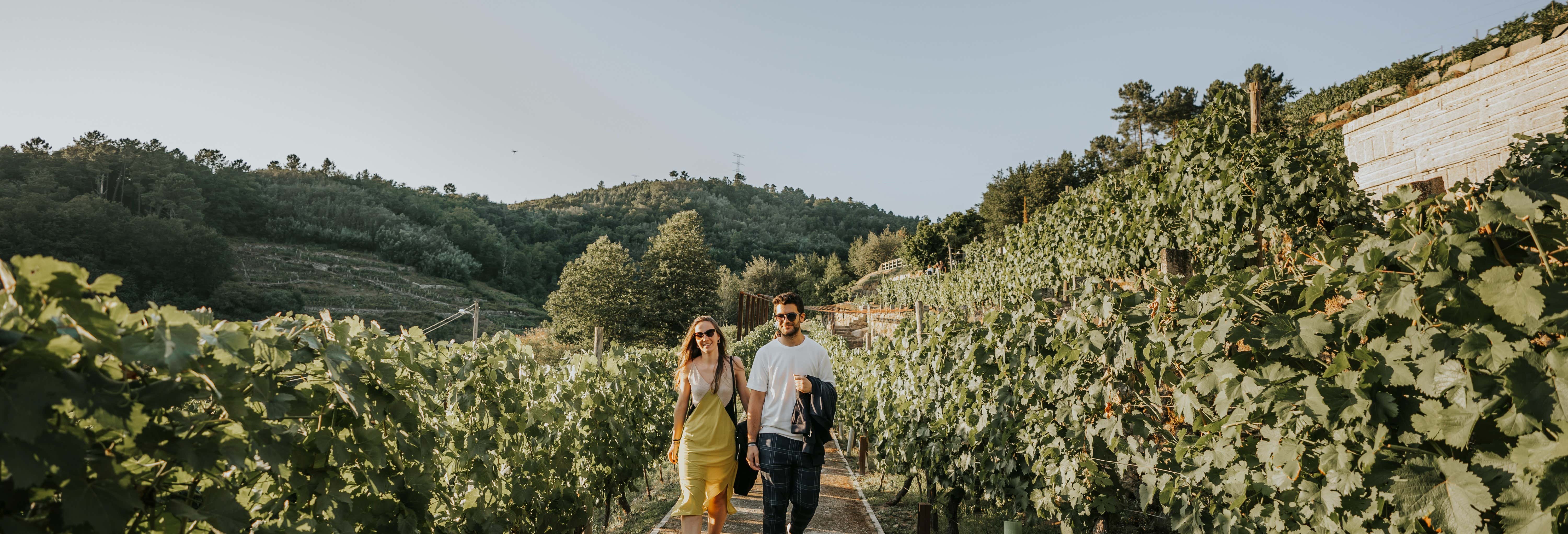 Visita a la bodega Pazo de Toubes