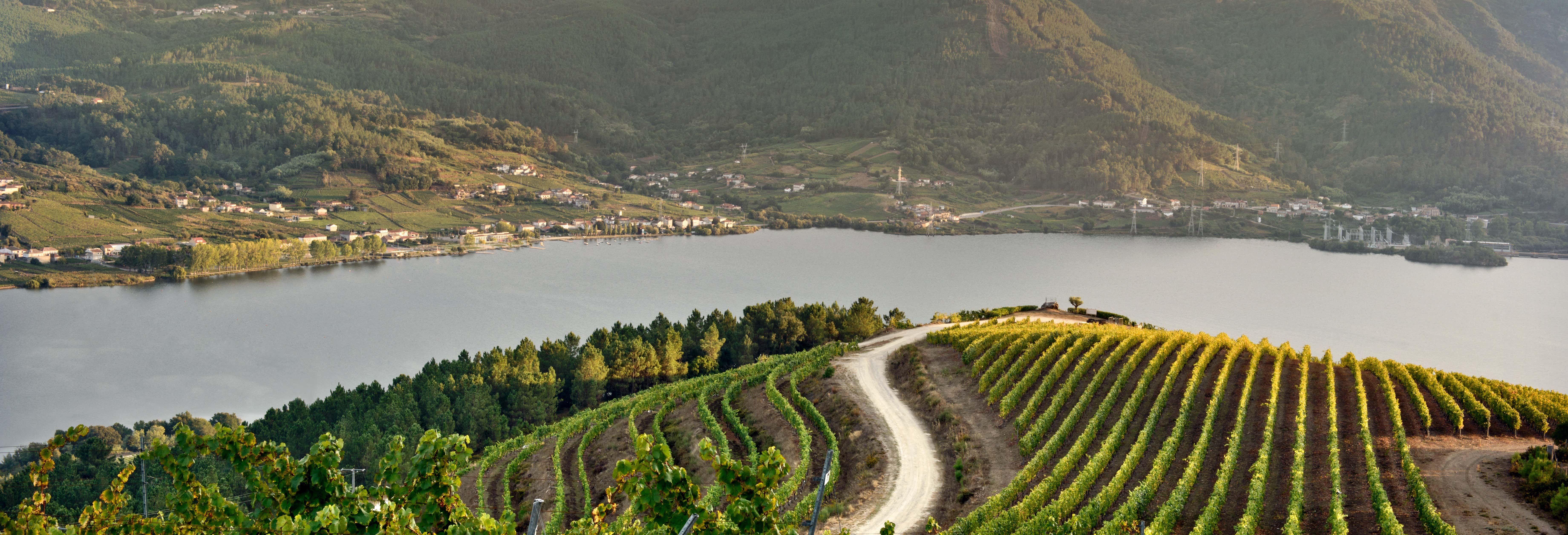 Visita a la bodega Viña Costeira