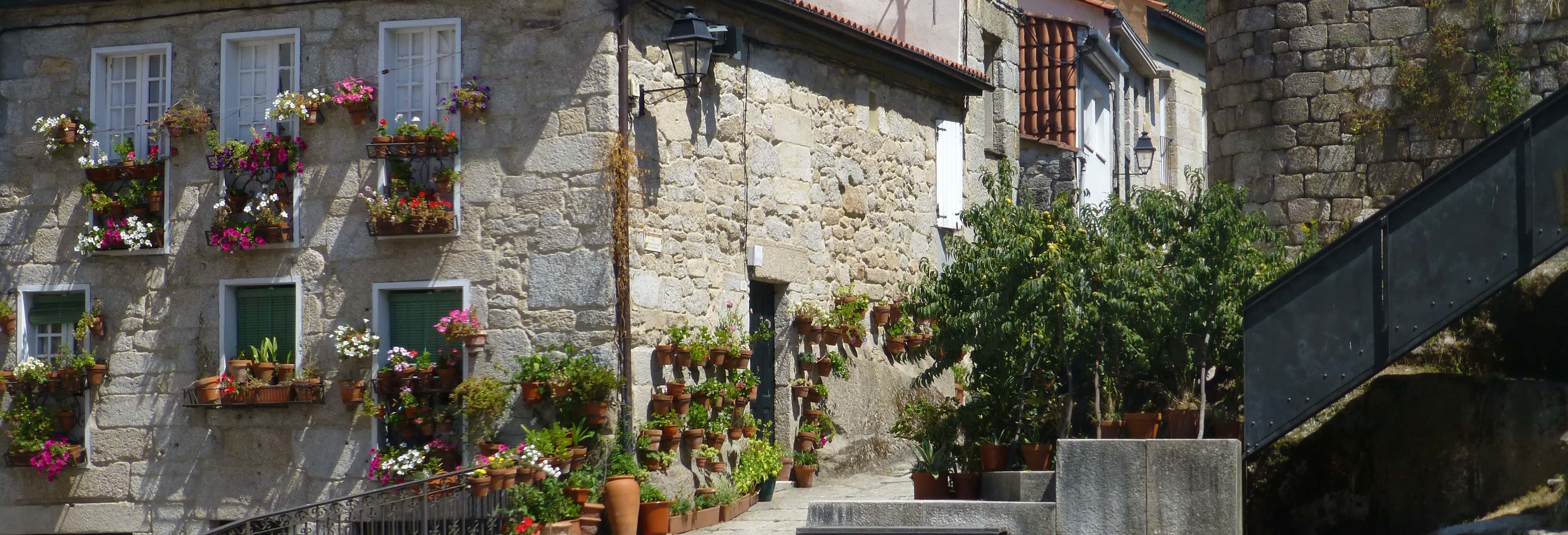 Visita guiada por Ribadavia