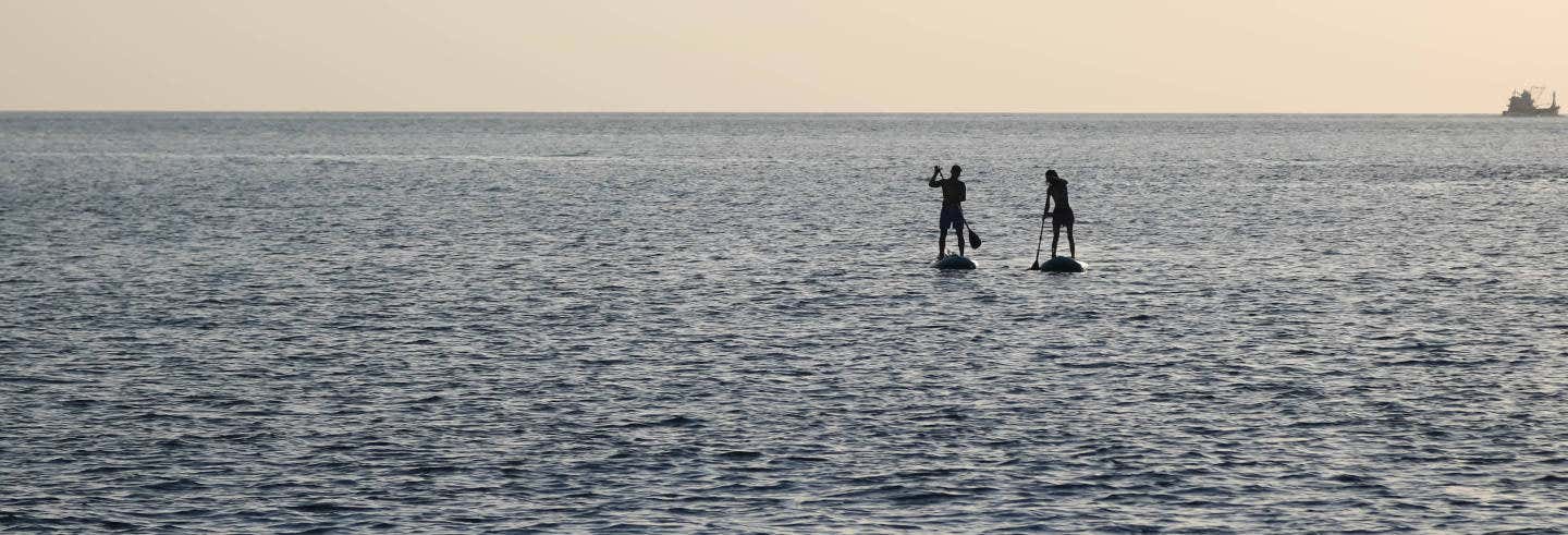 Paddle Surf Rental