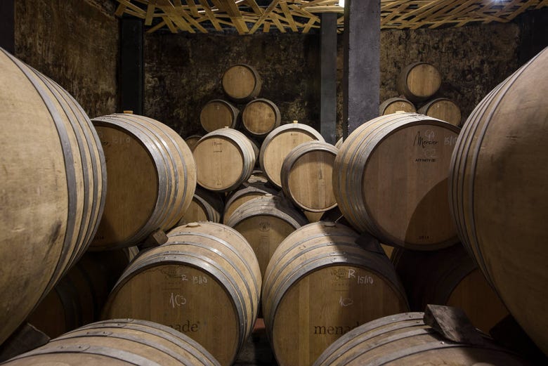 Barrels of wine at the winery