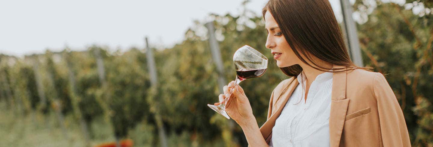 Visita a las bodegas Viore