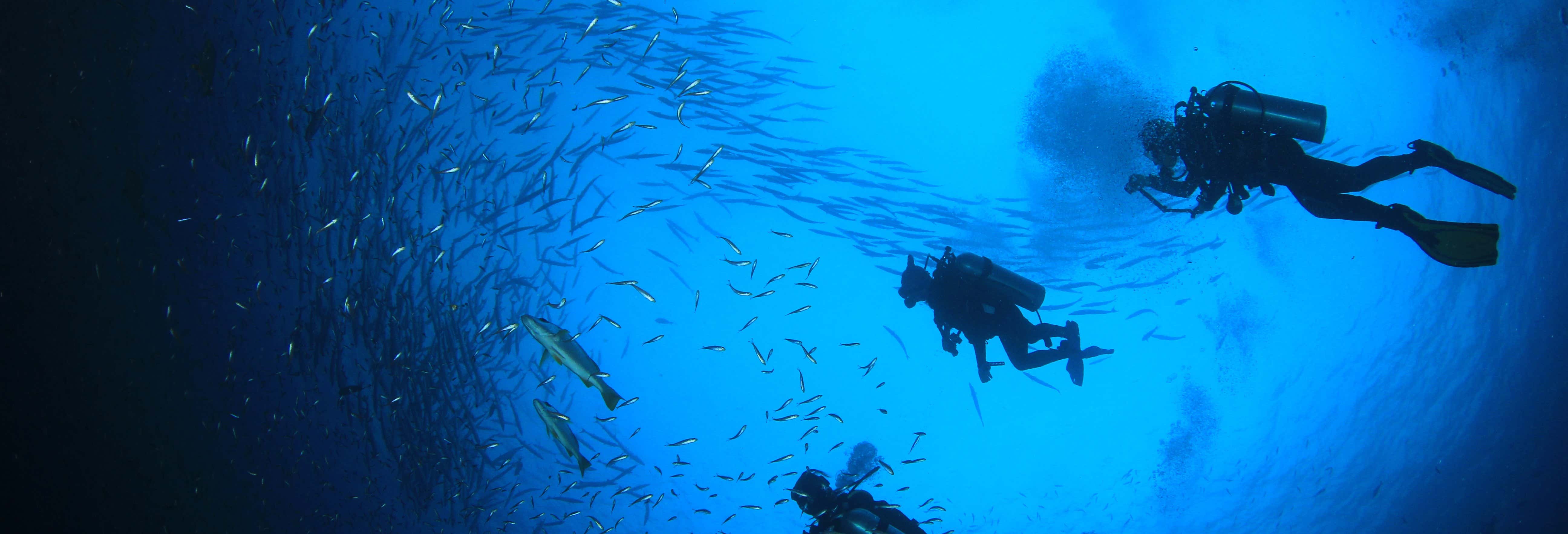 Bautismo de buceo en Salou