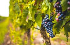 Excursión a Siurana con cata de vinos