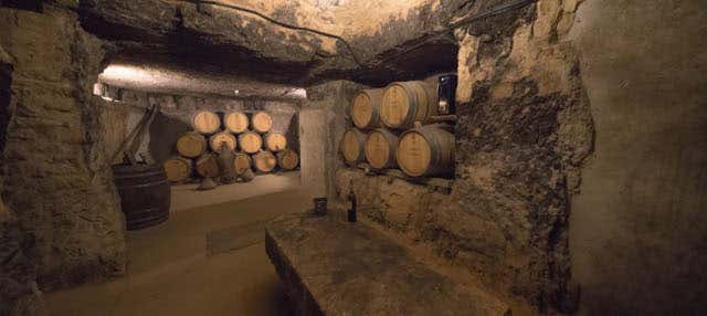 Bodegas Lecea Winery Tour