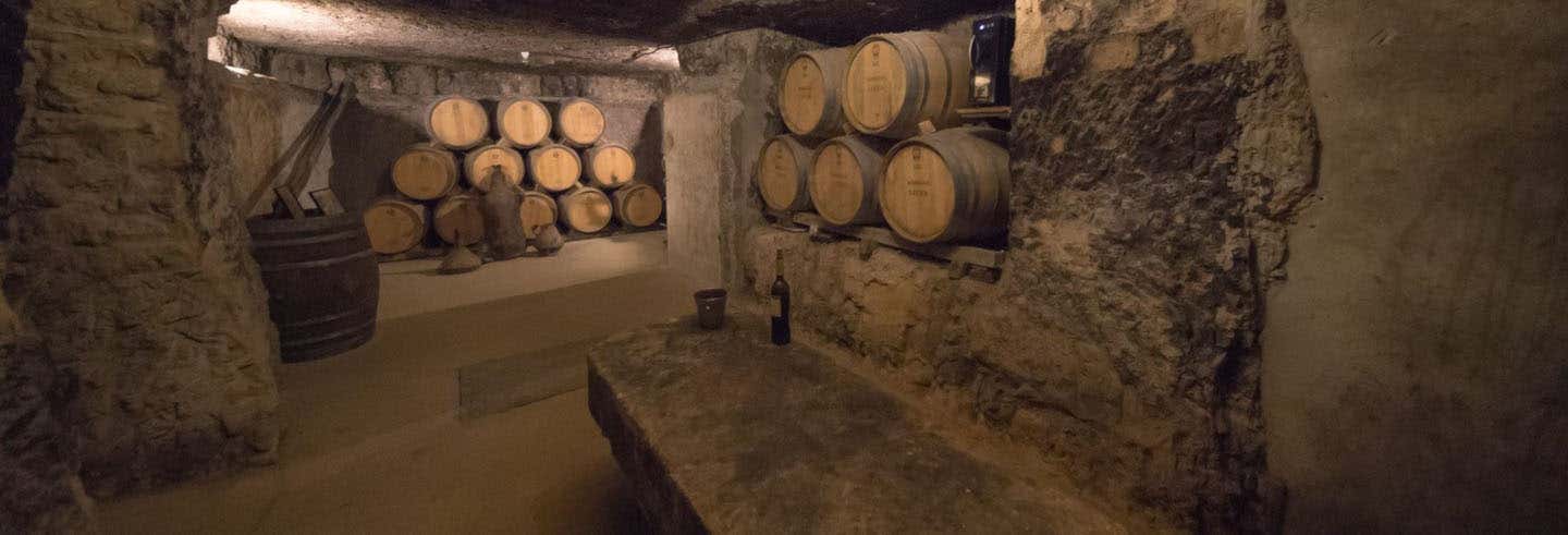 Bodegas Lecea Winery Tour
