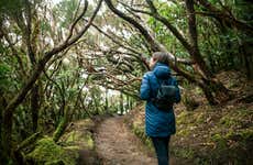 Trekking nel Parco rurale di Anaga