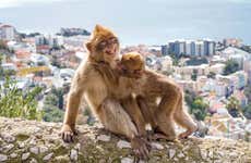 Excursión a Gibraltar