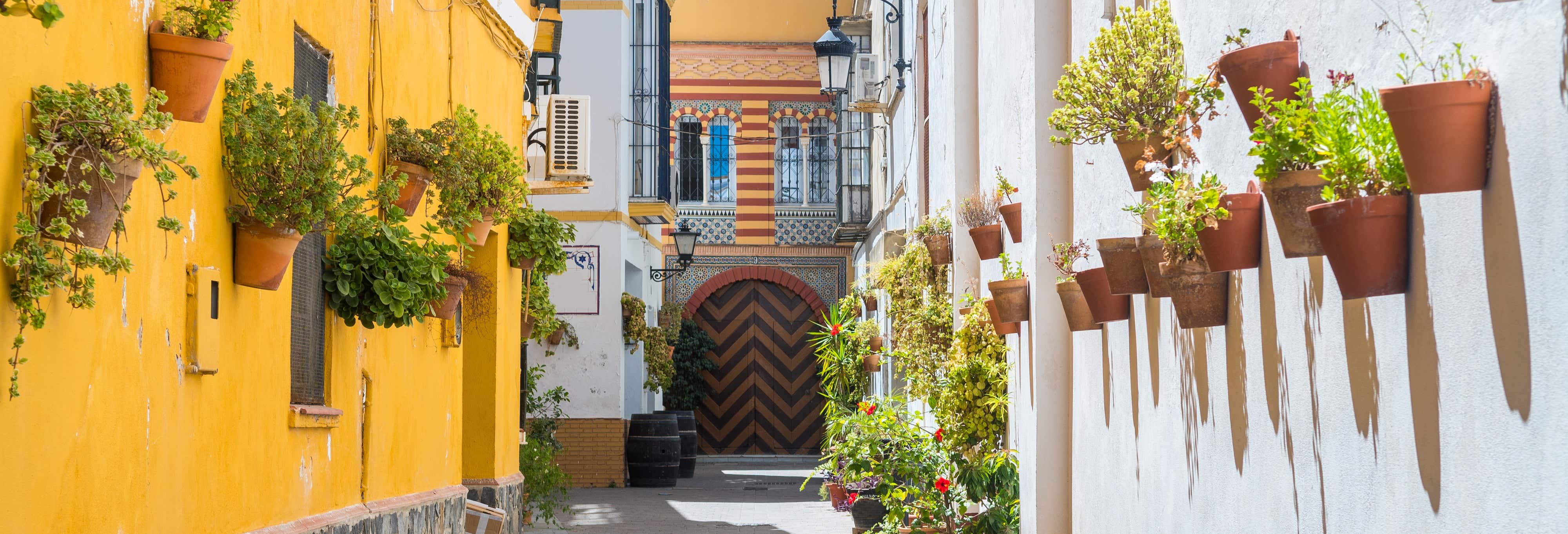 Excursão a Sanlúcar e Doñana
