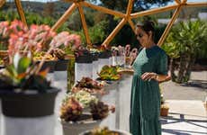 Ibiza Biotechnological Botanical Garden Tour