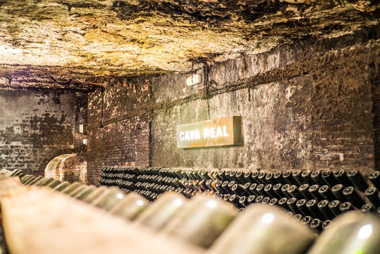 Inside the Freixenet winery