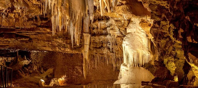 Visita guiada por la Cueva El Soplao
