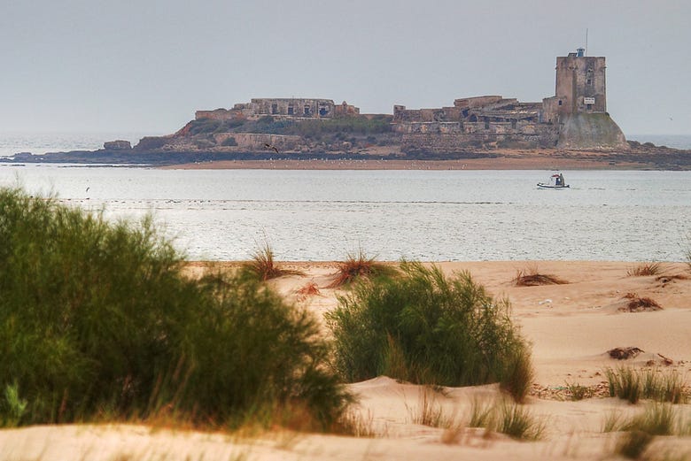 L'île de Sancti Petri vue depuis la plage
