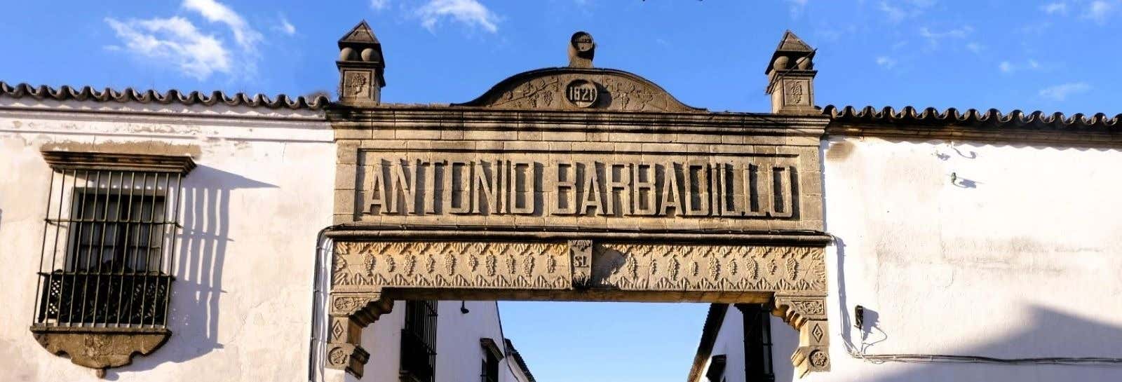 Free tour por Sanlúcar ¡Gratis!