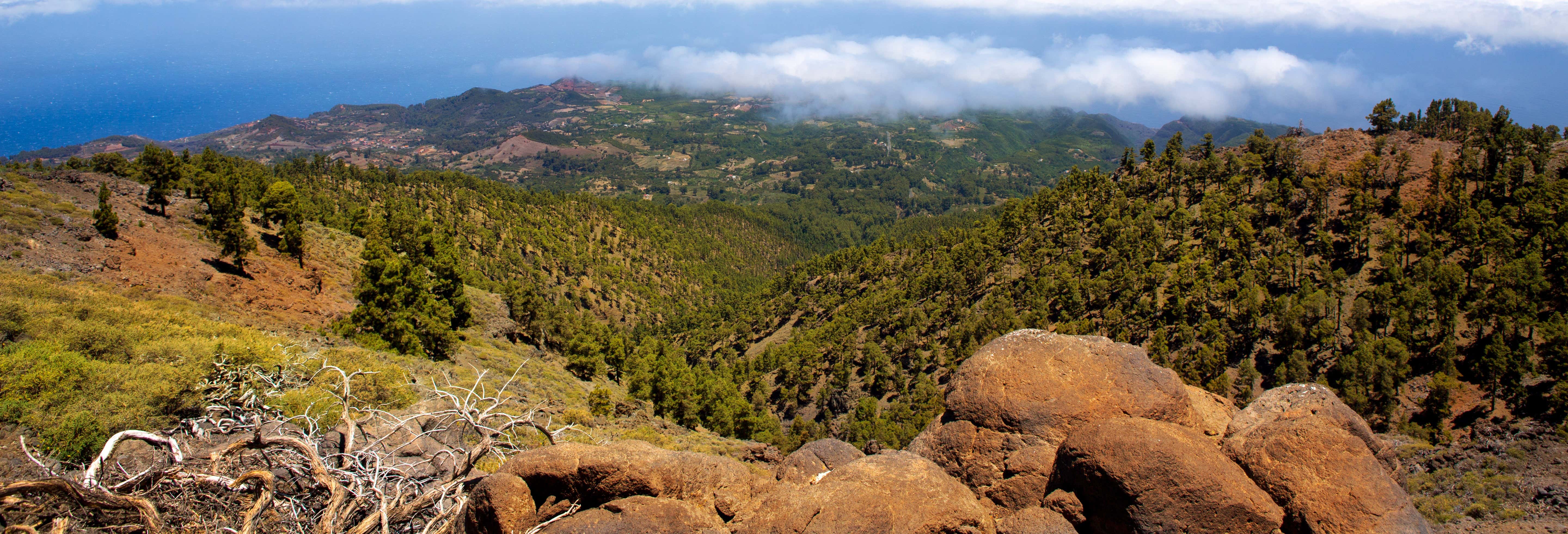 Excursión a la Caldera de Taburiente para cruceros en La Palma