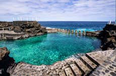 Excursão ao bosque de los Tilos e Charco Azul + Visita a uma destilaria de rum
