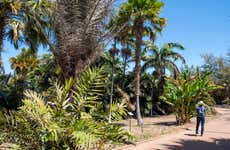 Billet pour le Palmetum