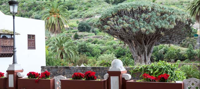 Excursión privada por Tenerife