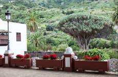 Excursão privada por Tenerife