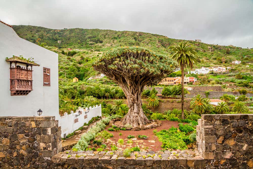 Excursión privada por Tenerife