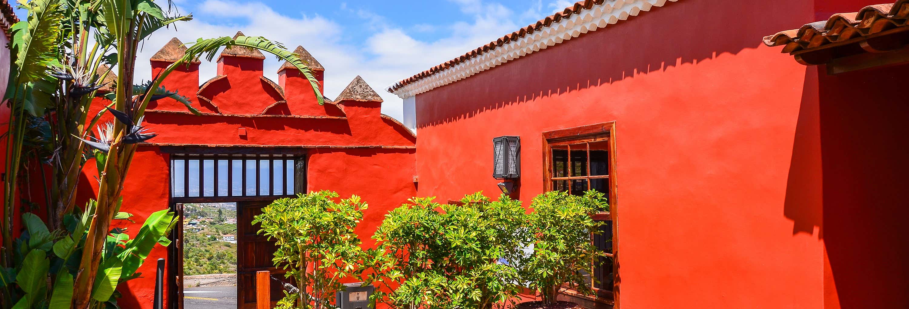 Tour del vino por el norte de Tenerife