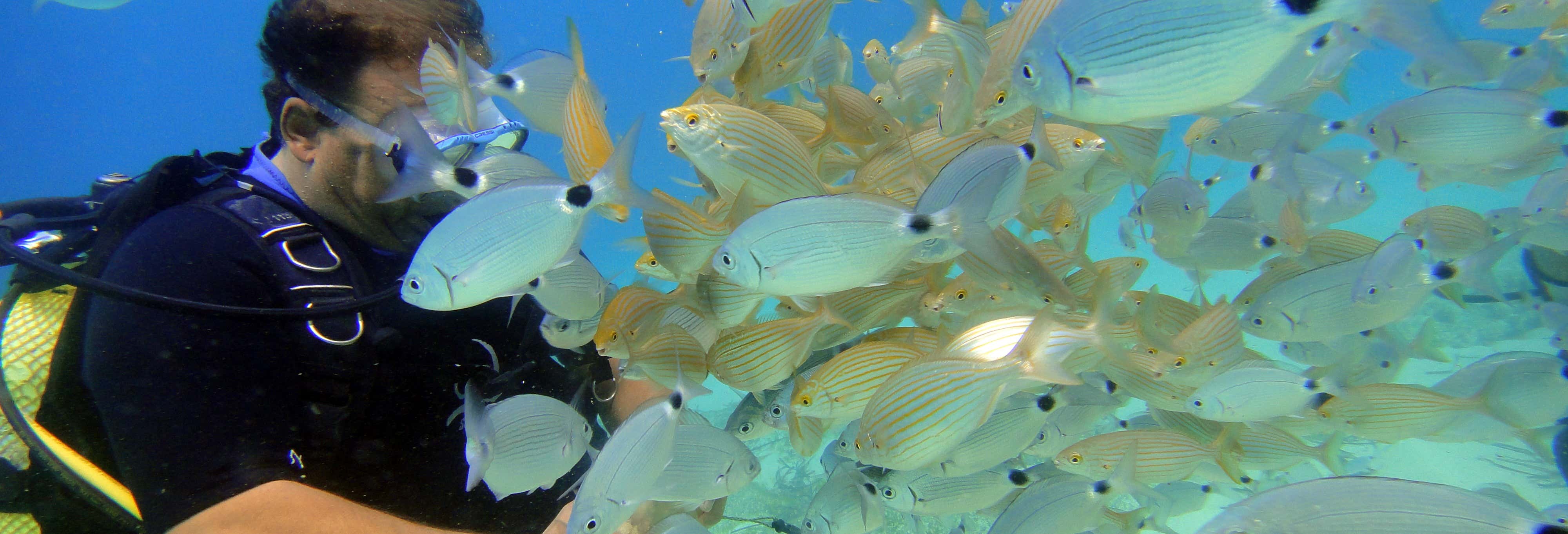 Bautismo de buceo en Mallorca