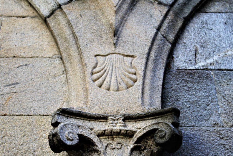 Concha de vieira Santiago de Compostela