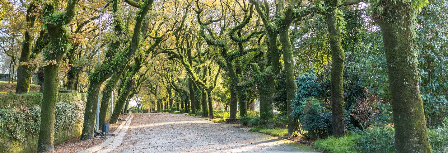 Visita guiada por los parques de Santiago