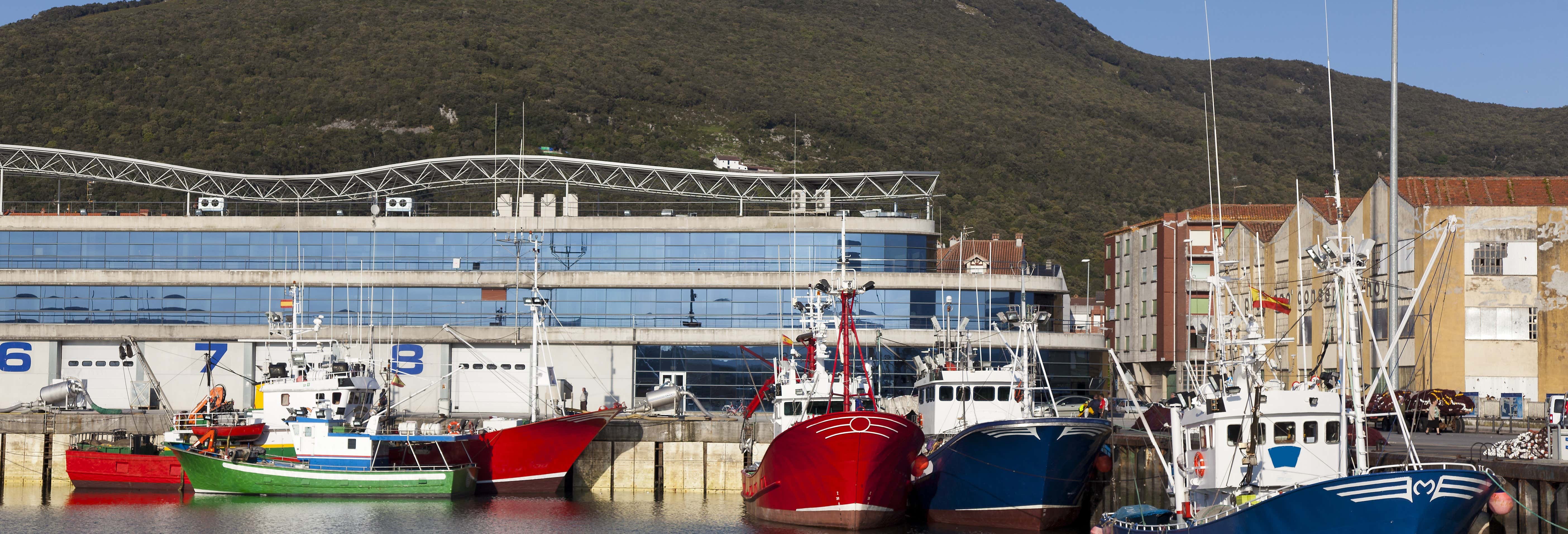 Visite guidée dans Santoña
