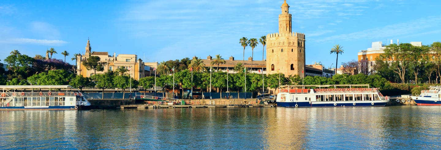 Crucero de lujo con comida por Sevilla + Espectáculo flamenco