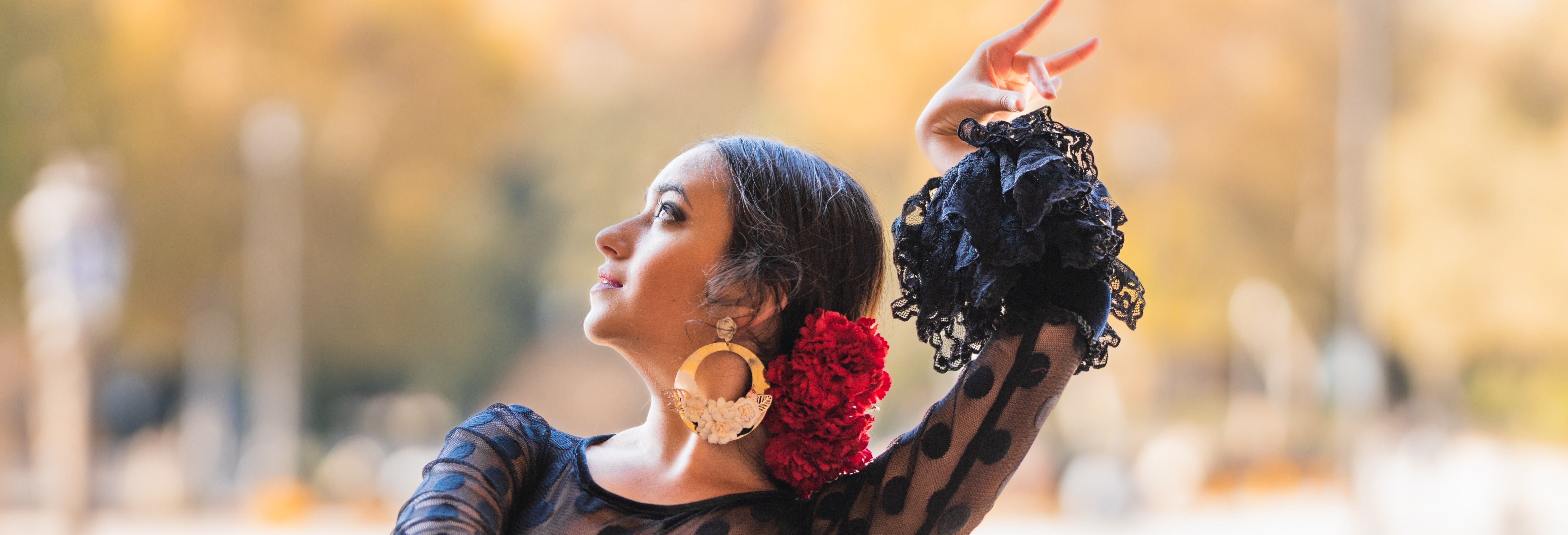 Seville Flamenco Dance Museum Show