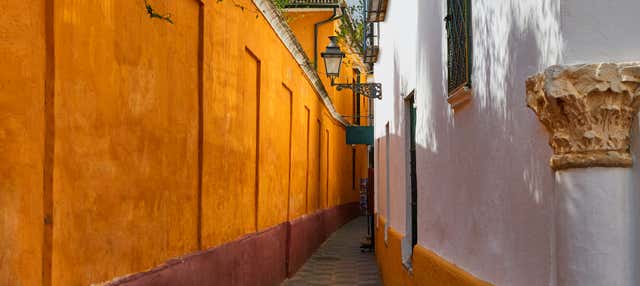 Free tour por el barrio de Santa Cruz ¡Gratis!