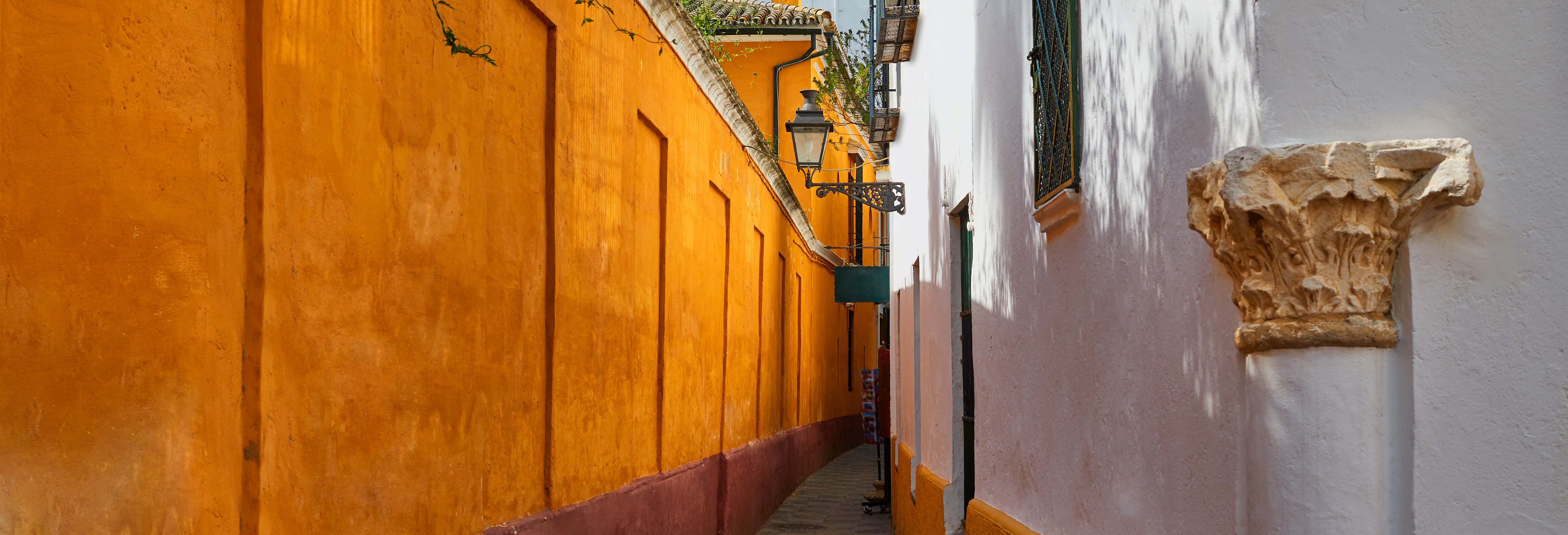 Free tour por el barrio de Santa Cruz