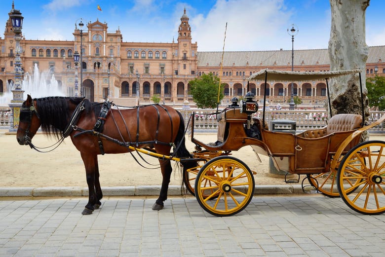 Horse and carriage in Plaza España