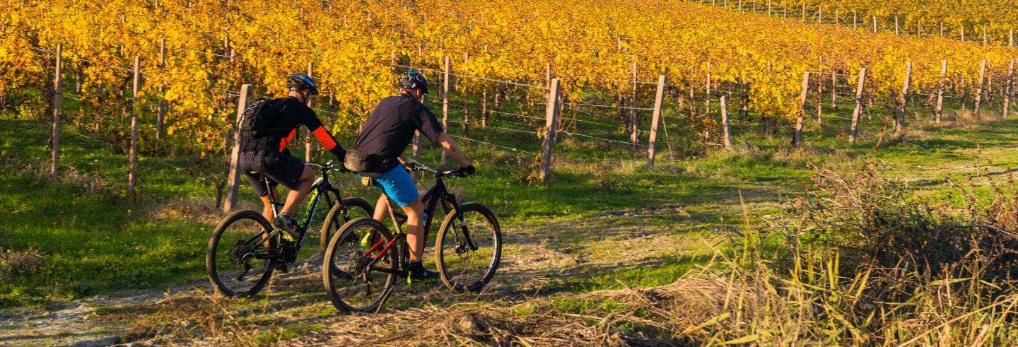 Tour en bicicleta por los viñedos del Alto Penedés