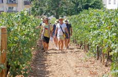 Visita al Centro de Interpretación Malvasía de Sitges