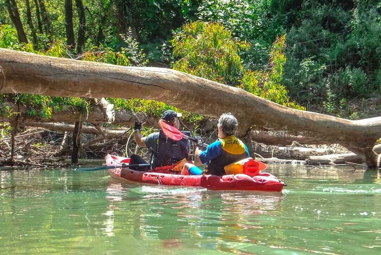 Disfrutando de la ruta en kayak por el río Guadiaro