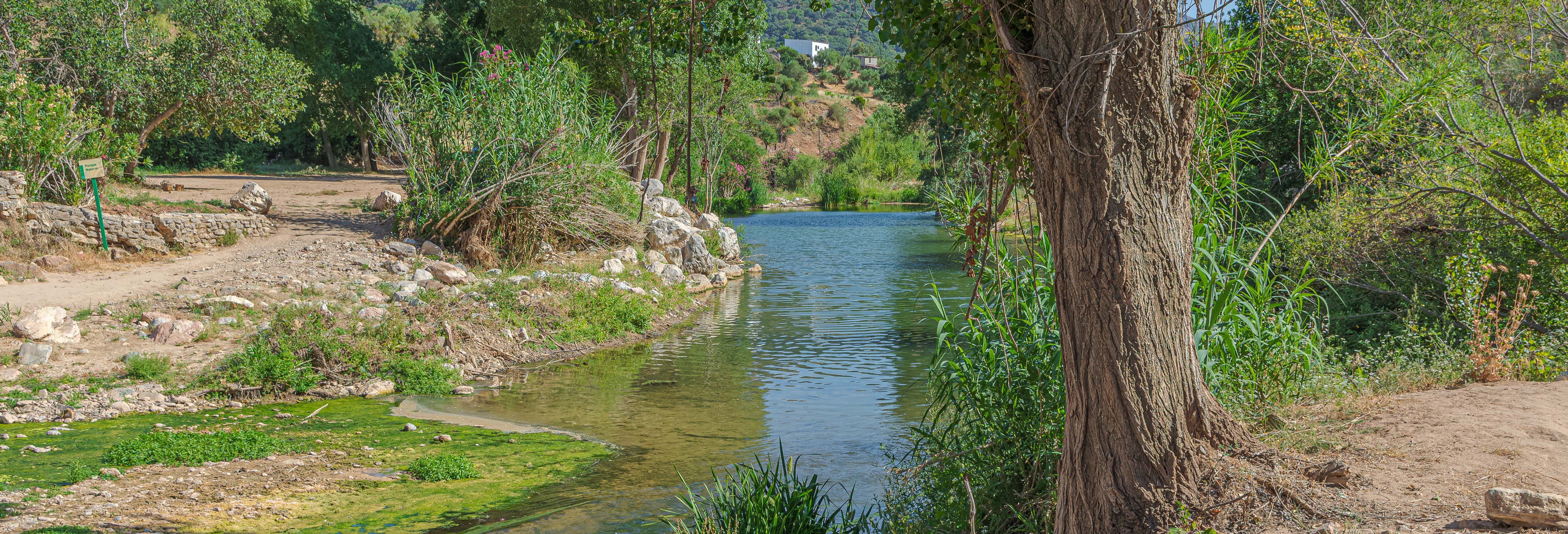 Tour en paddle surf por el río Guadiaro