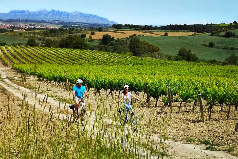 Cycle through the Penedes vineyards