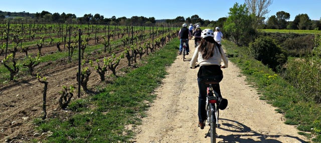 Tour en bicicleta por los viñedos del Penedés