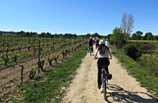 Penedes Vineyards Bike Tour
