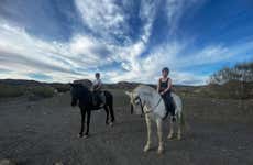 Tabernas Desert Horse Riding Tour