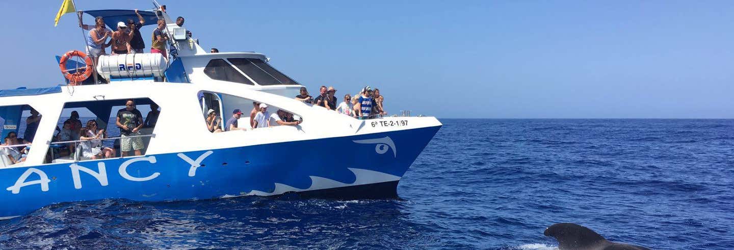 Excursión en catamarán desde Tazacorte en La Palma