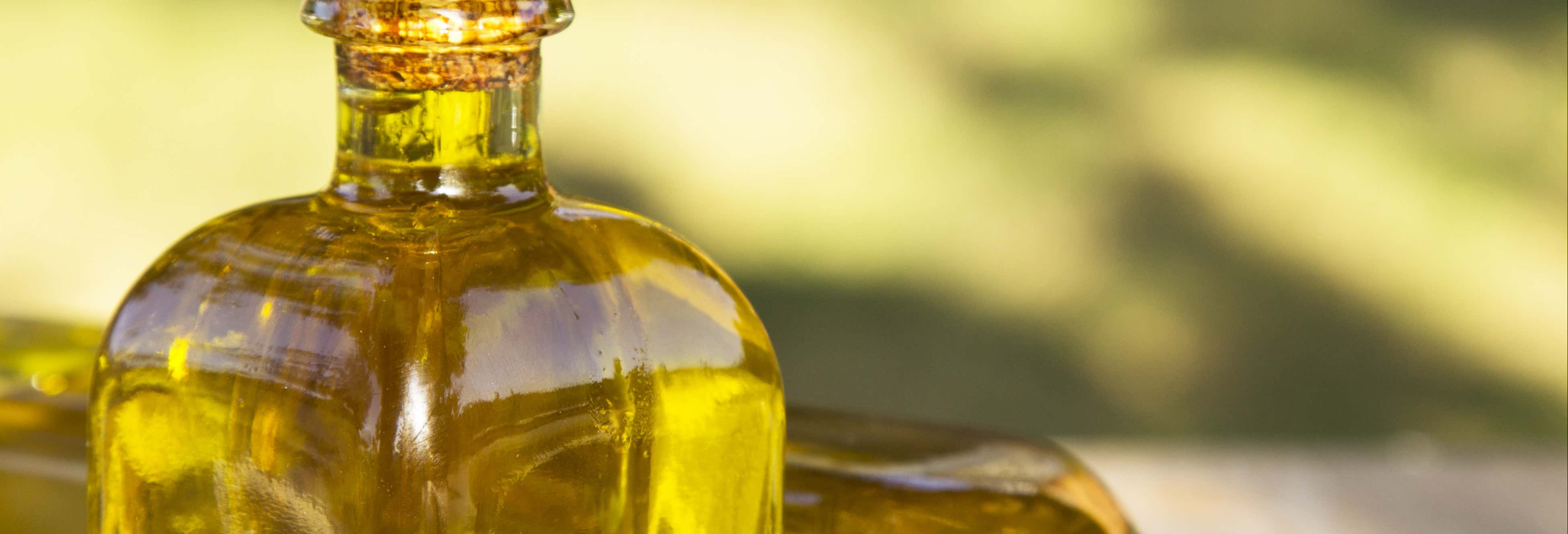 Tour del aceite por Alfarnate y Alfarnatejo
