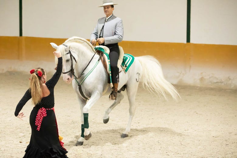 Incredible perfomances by horses and dancers in Torremolinos