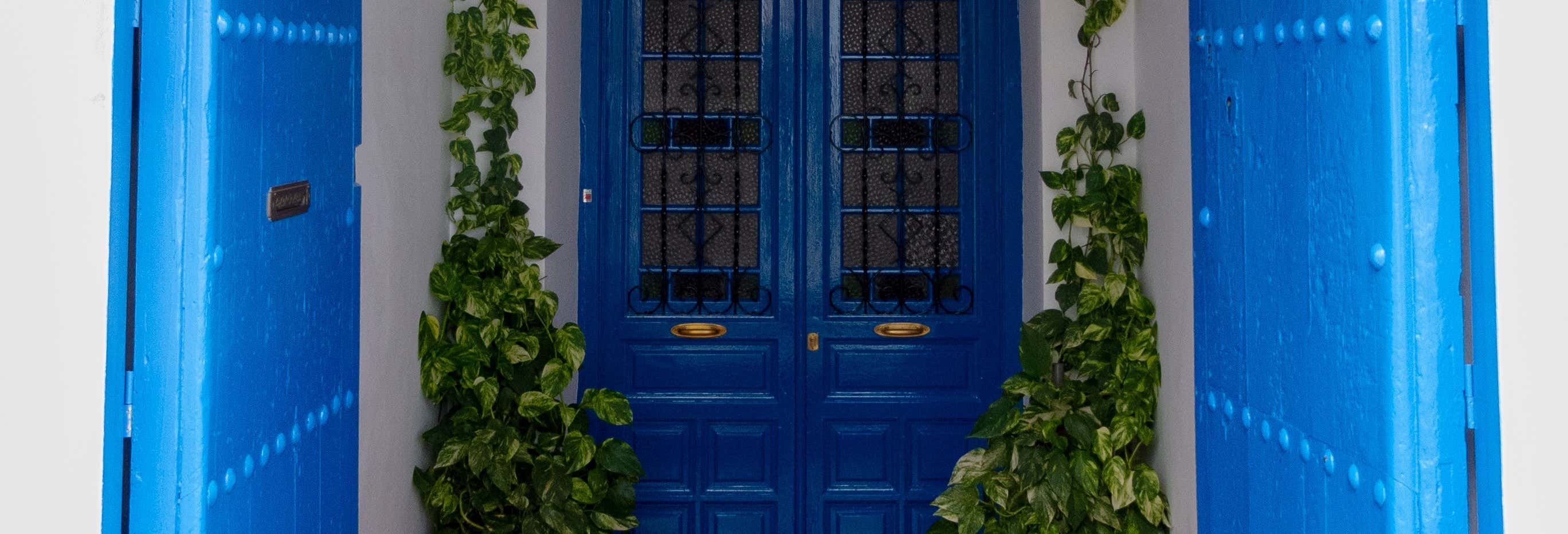 Tour por Frigiliana y cuevas de Nerja desde Torremolinos