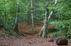 Excursão a Garrotxa