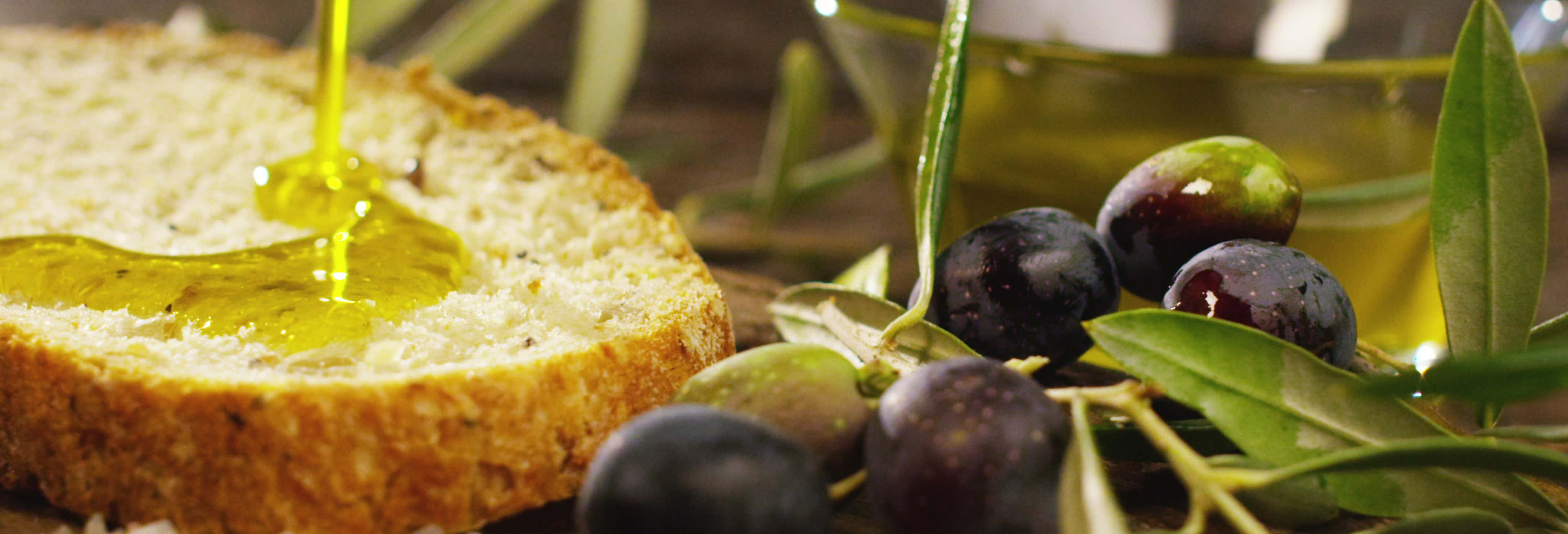 Cata de aceites de Jaén