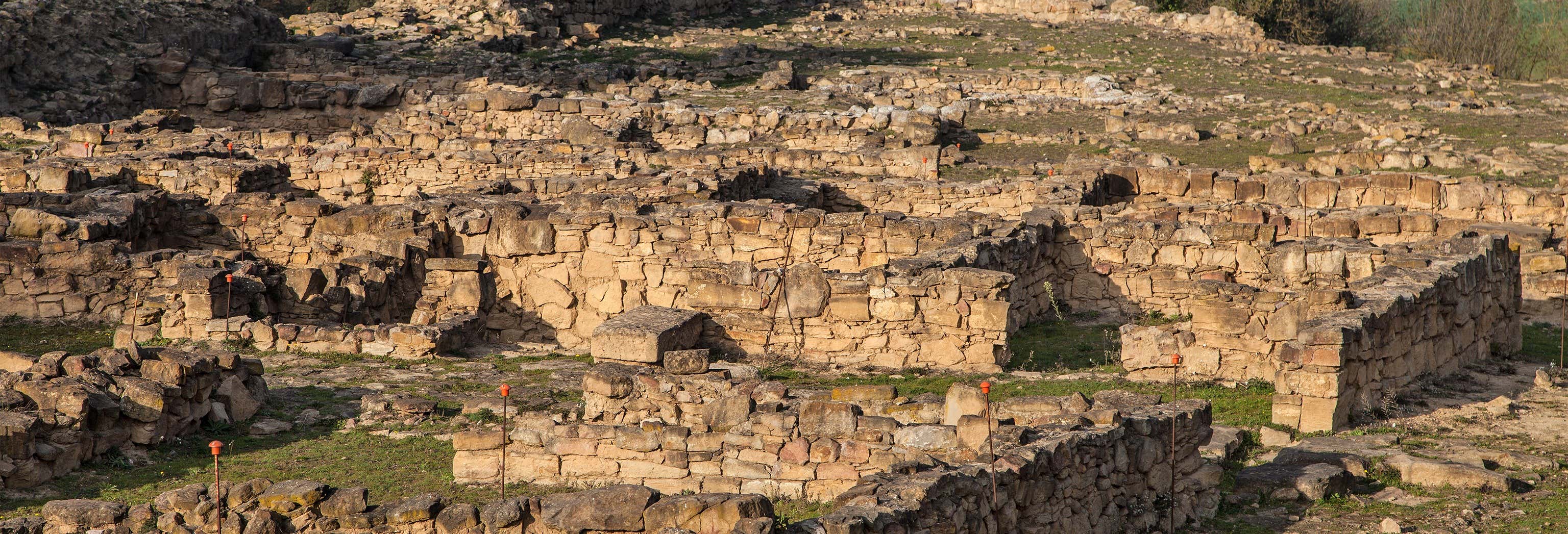 Visita guiada por Ullastret y Museo de Arqueología
