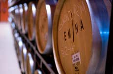 Visita à Bodega Emina Ribera